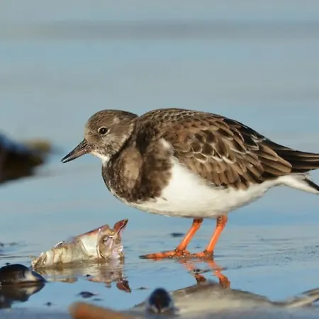 Emily House Semesterbostad